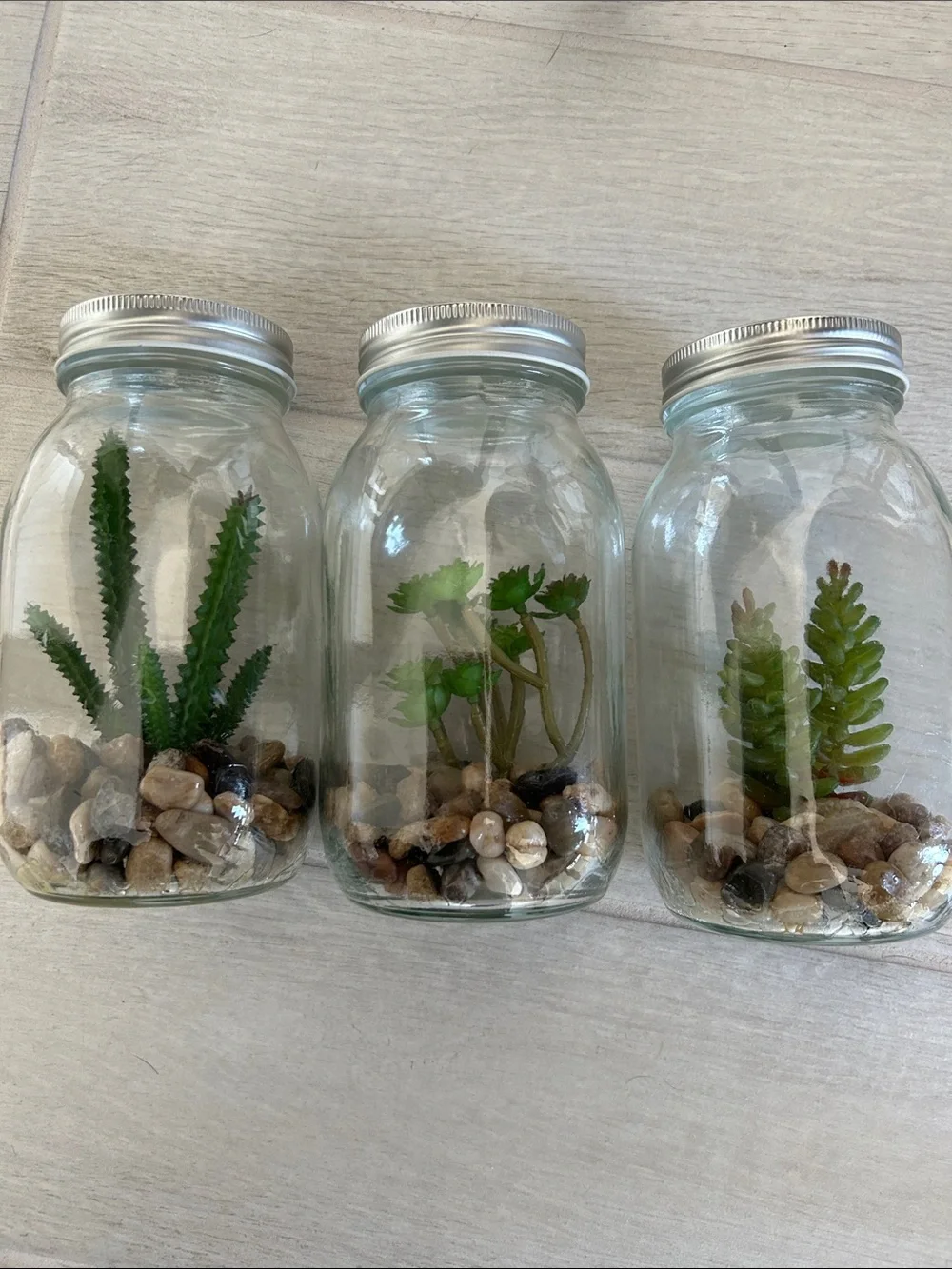 (3) Faux Succulent Glass Mason Jar